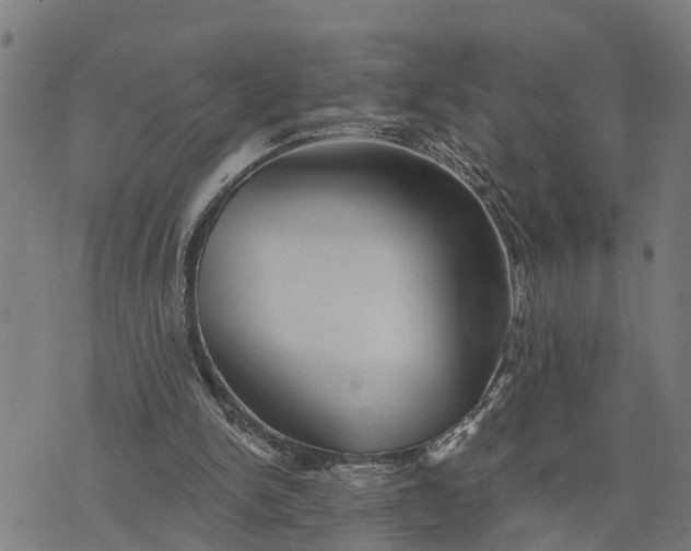 X0000076080150200610061624