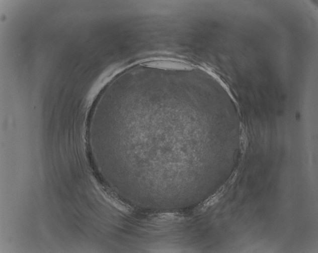 X0000076080151200610061624