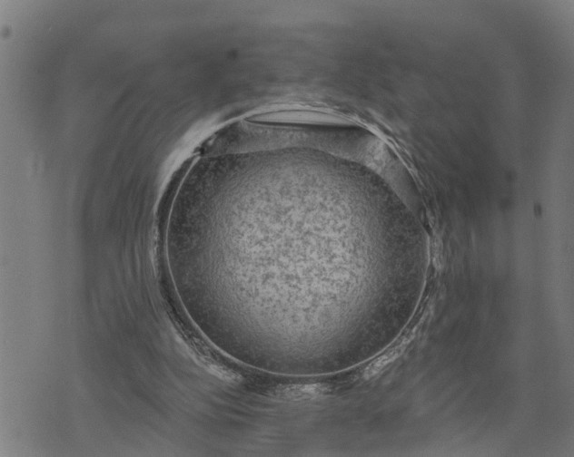 X0000076080152200610061625