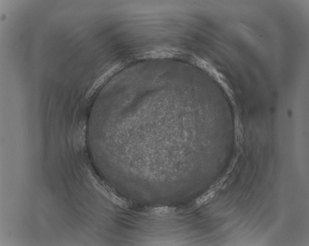 X0000076080153200610061625