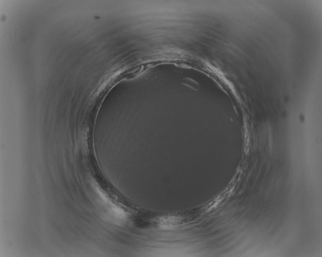 X0000076080154200610061625