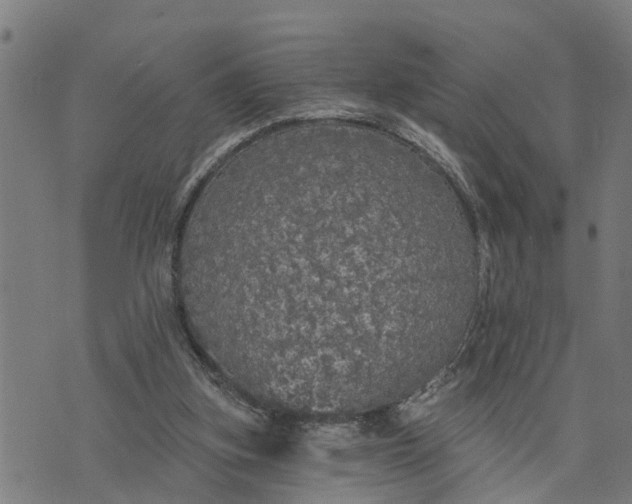 X0000076080155200610061625