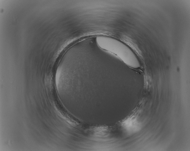 X0000076080156200610061625