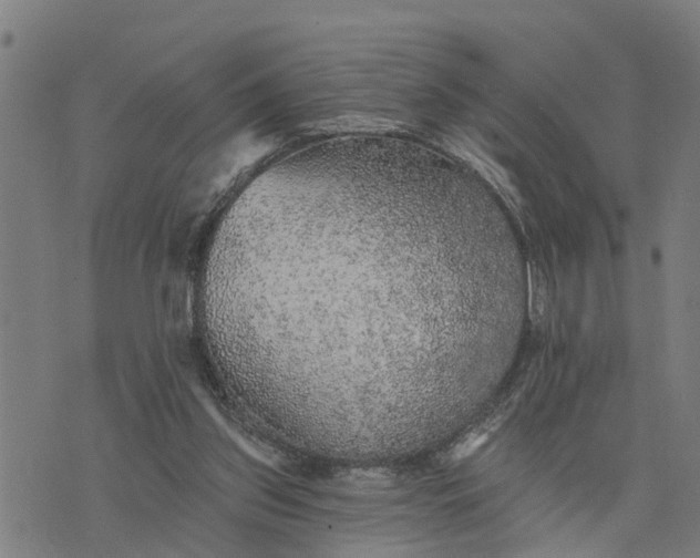 X0000076080157200610061625