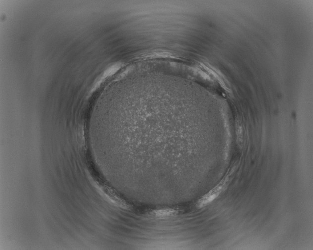 X0000076080158200610061625