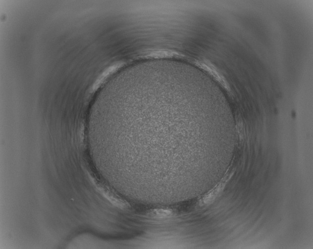 X0000076080159200610061625