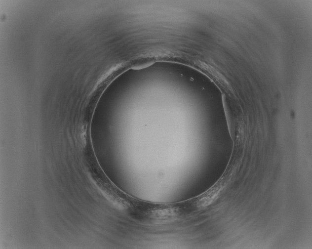 X0000076080160200610061625