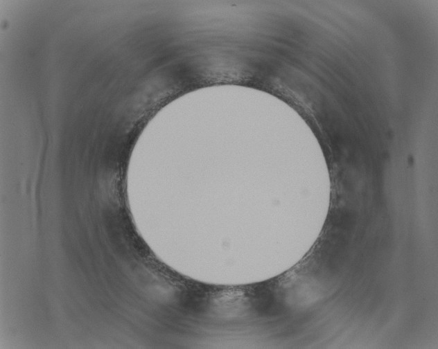 X0000076080162200610061625