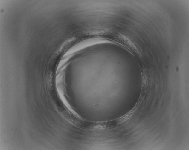 X0000076080163200610061625