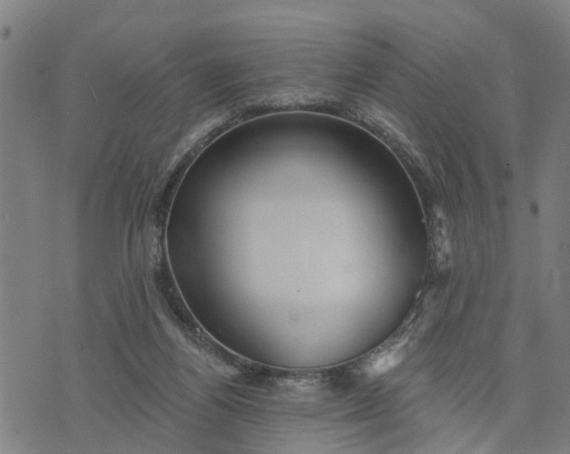 X0000076080164200610061625