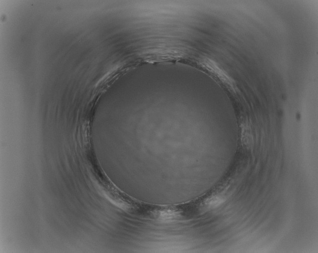 X0000076080165200610061625