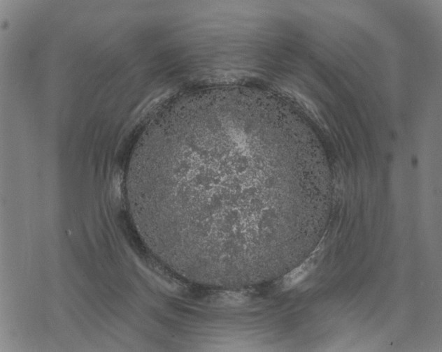 X0000076080166200610061625