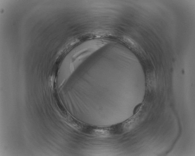 X0000076080167200610061625