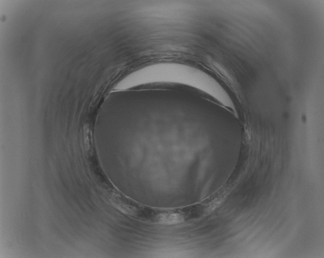 X0000076080169200610061625