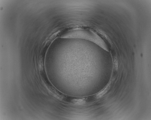 X0000076080170200610061625