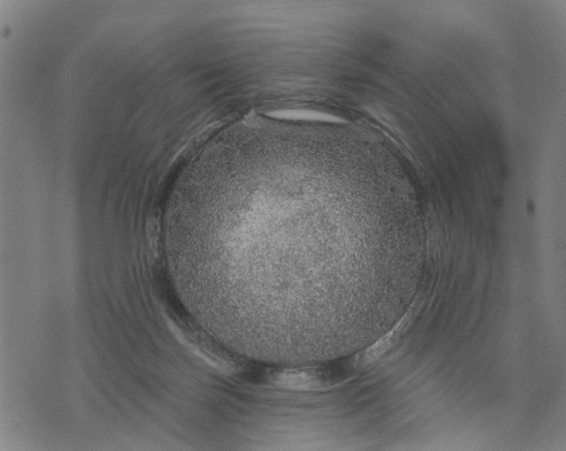 X0000076080171200610061625