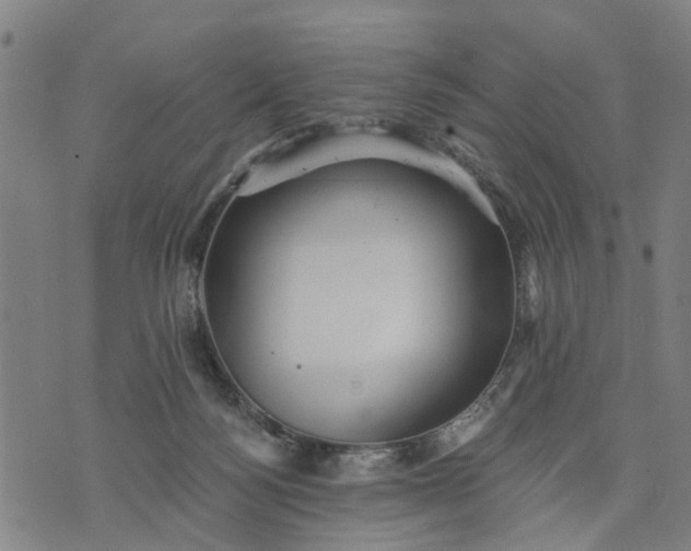 X0000076080172200610061625