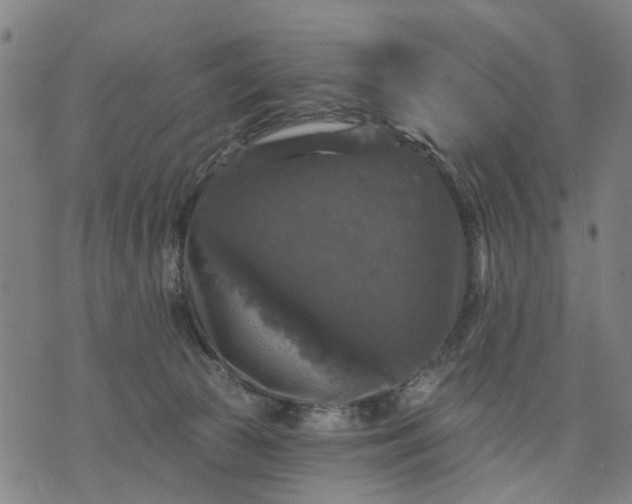 X0000076080177200610061625