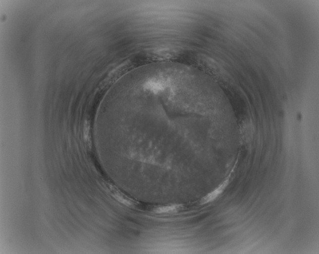 X0000076080178200610061625