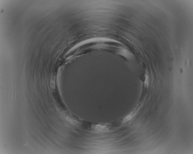 X0000076080180200610061625