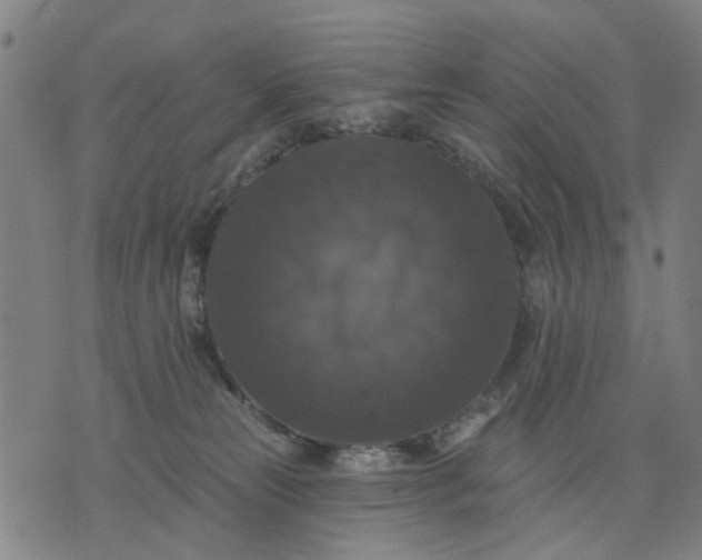 X0000076080181200610061625