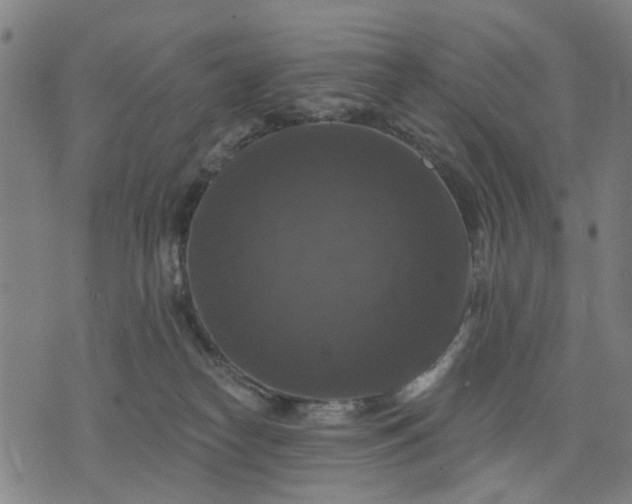 X0000076080182200610061625