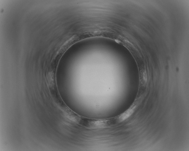 X0000076080184200610061625