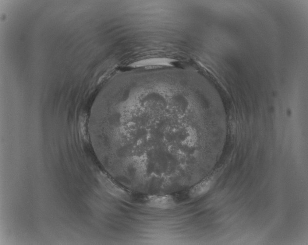 X0000076080185200610061625