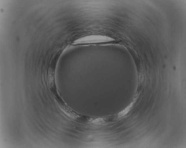 X0000076080186200610061625