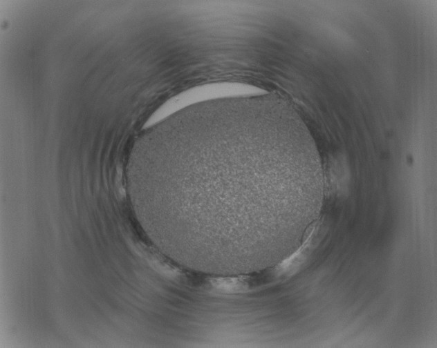 X0000076080187200610061625