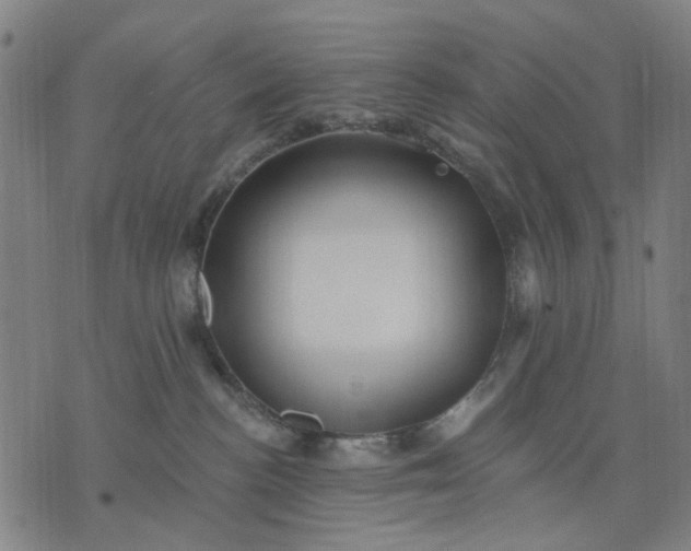 X0000076080188200610061625