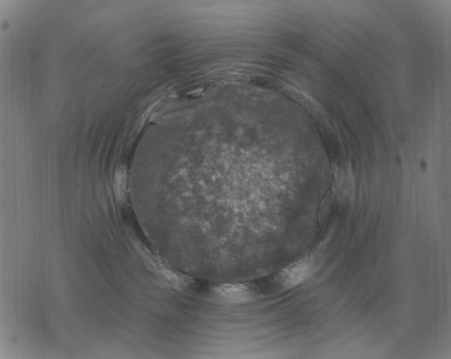 X0000076080189200610061625