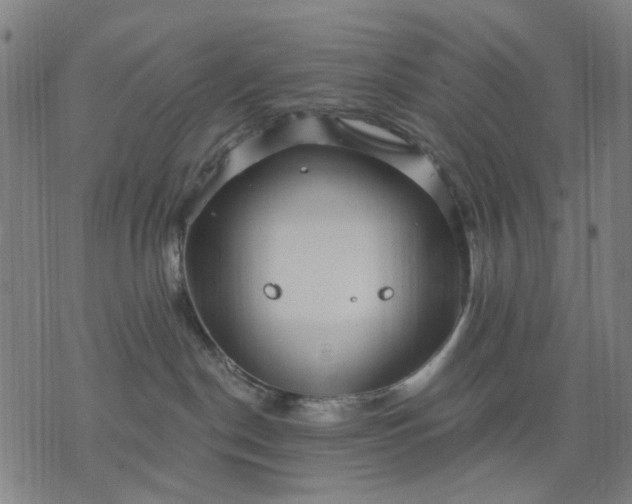 X0000076080190200610061625