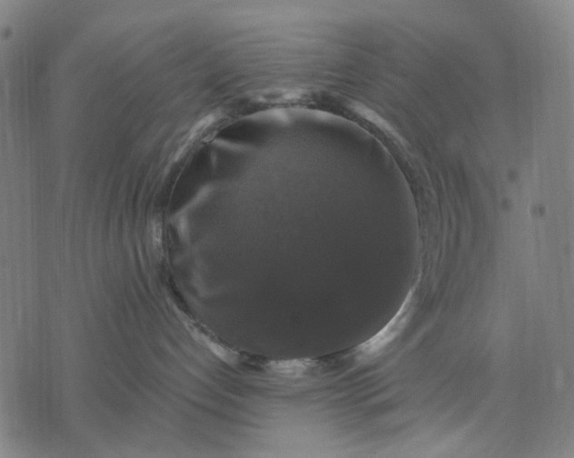 X0000076080192200610061625