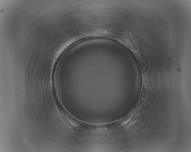 X0000076080196200610061624