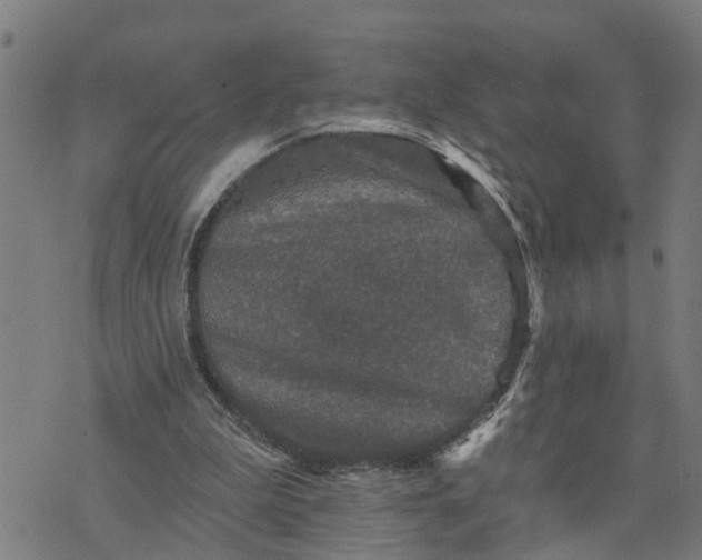 X0000076080199200610061624