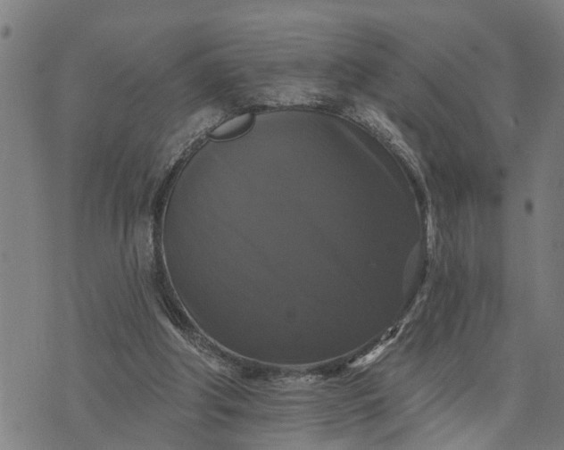 X0000076080202200610061624