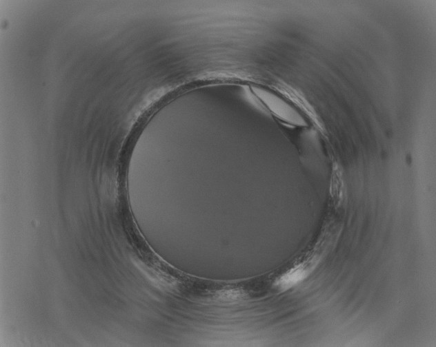 X0000076080204200610061624