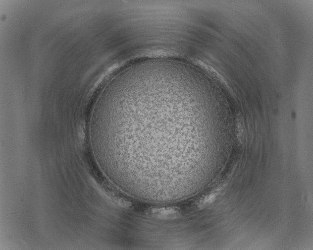 X0000076080208200610061624