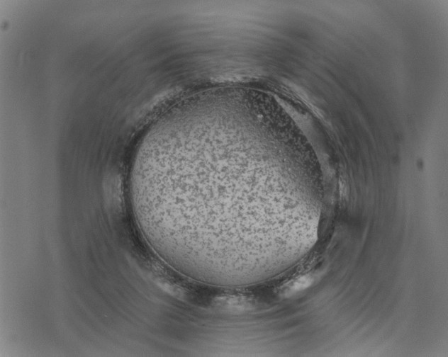 X0000076080211200610061624