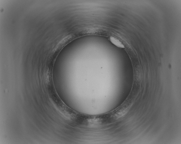 X0000076080216200610061624