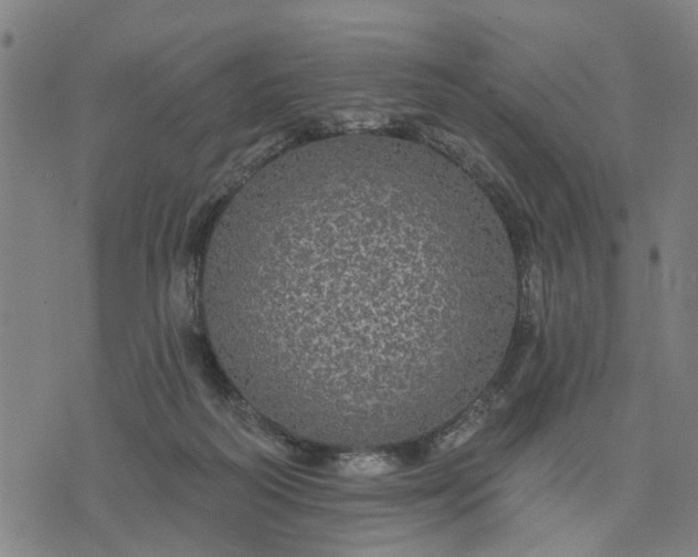 X0000076080218200610061624