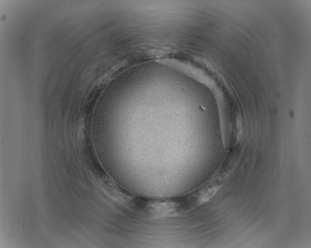 X0000076080221200610061624