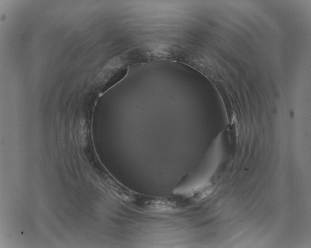 X0000076080223200610061624