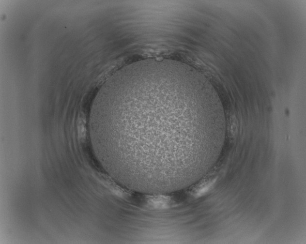 X0000076080226200610061624