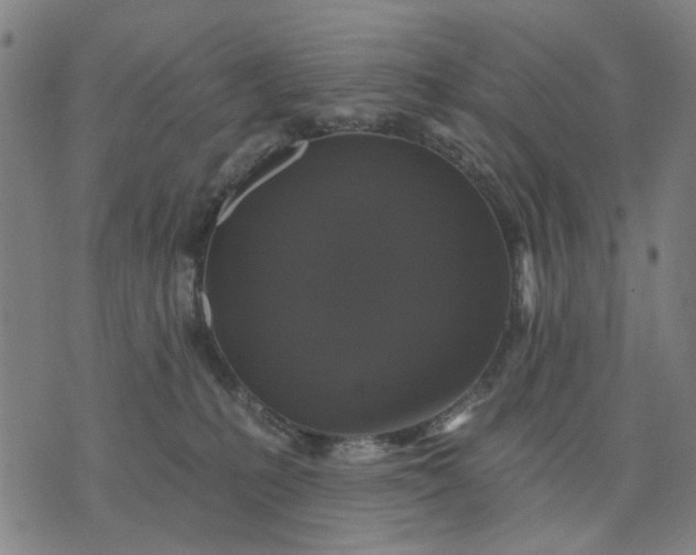 X0000076080231200610061624