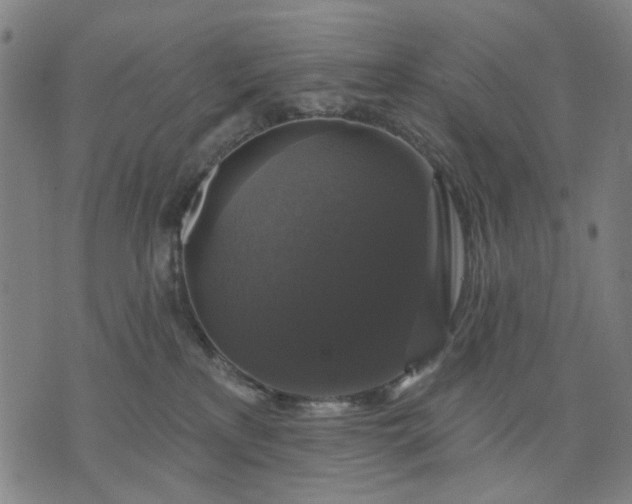 X0000076080233200610061624