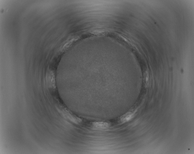 X0000076080234200610061624