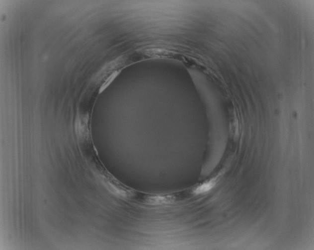 X0000076080239200610061624