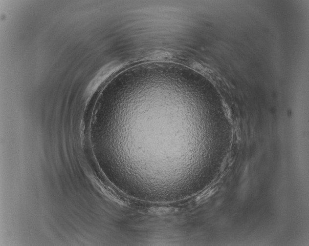 X0000076080242200610061623